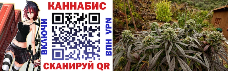 Псилоцибиновые грибы Анжеро-Судженск