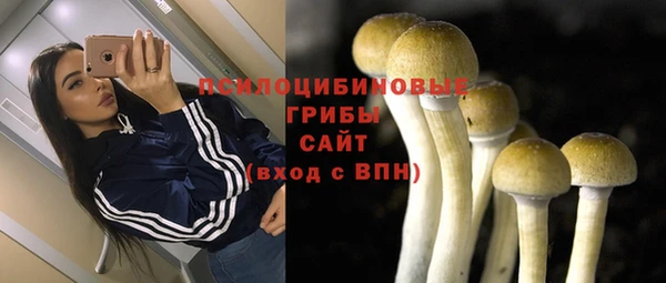 ALPHA PVP Алексеевка