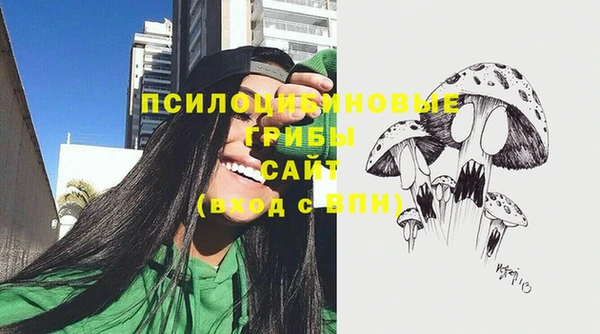 мяу мяу мука Алзамай