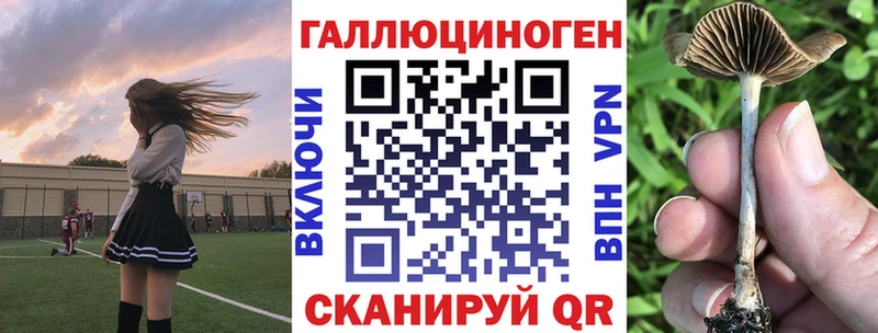 наркота  Анжеро-Судженск  Галлюциногенные грибы Psilocybine cubensis 