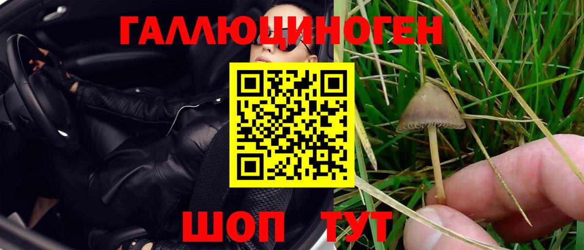 Псилоцибиновые грибы Cubensis  Галлюциногенные грибы мухоморы  Вход с VPN  Анжеро-Судженск 
